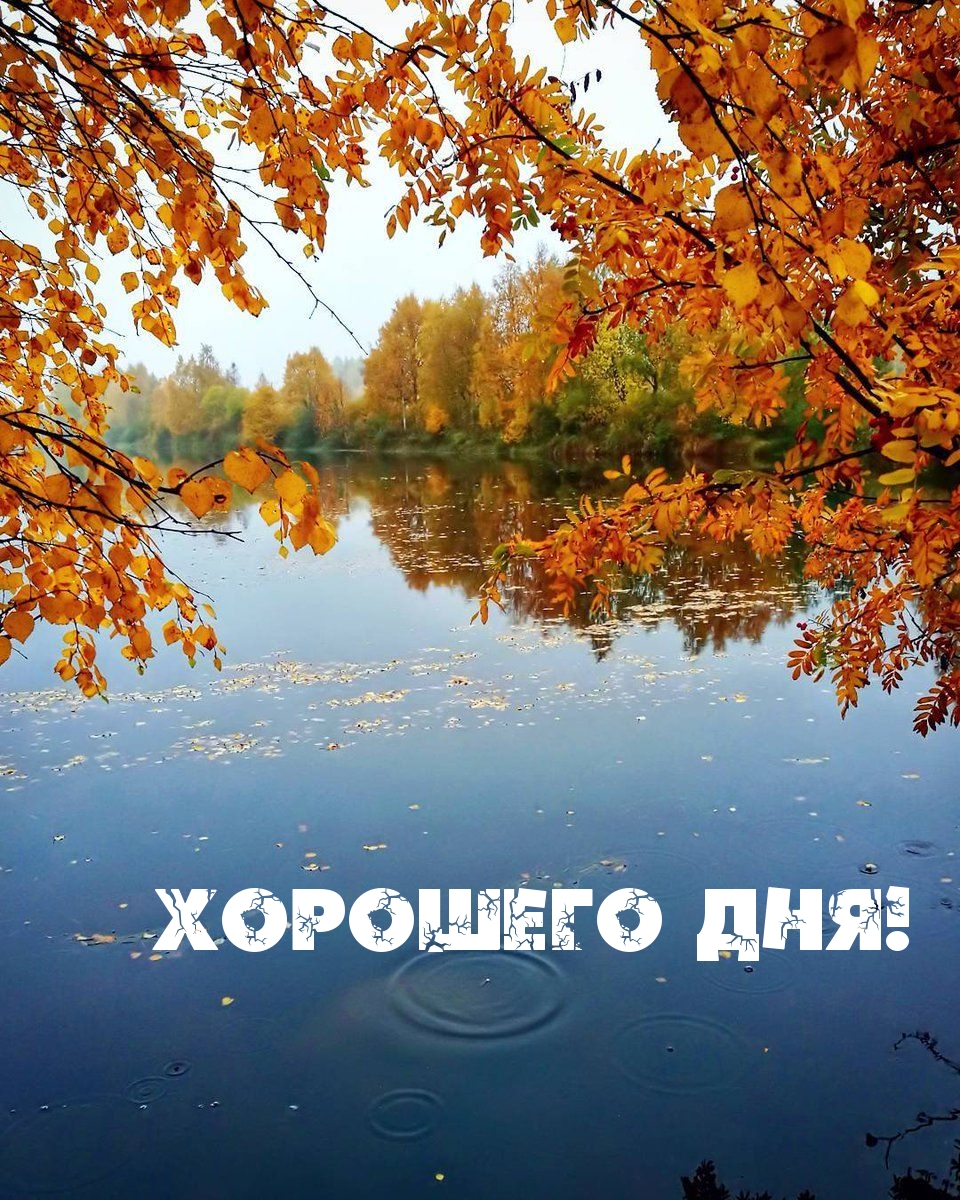 Хорошего дня!