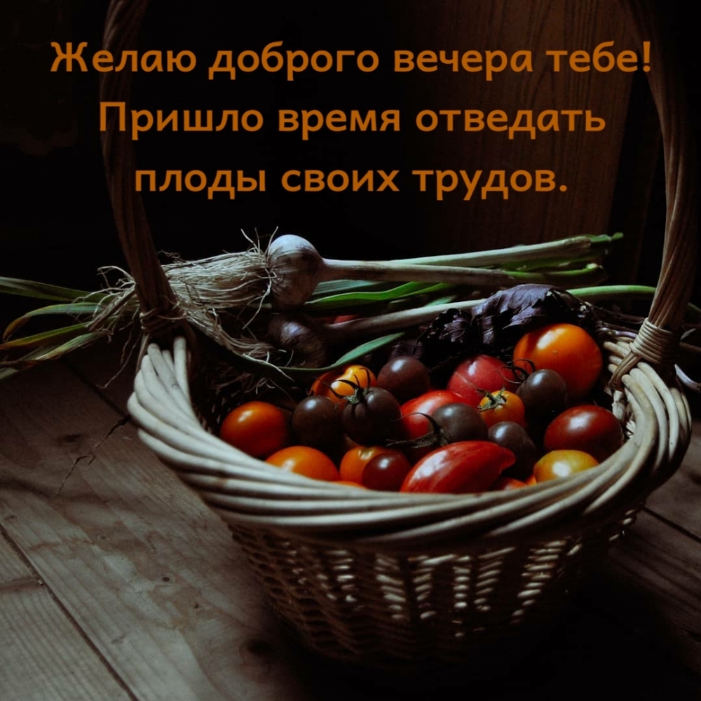 Желаю доброго вечера тебе!