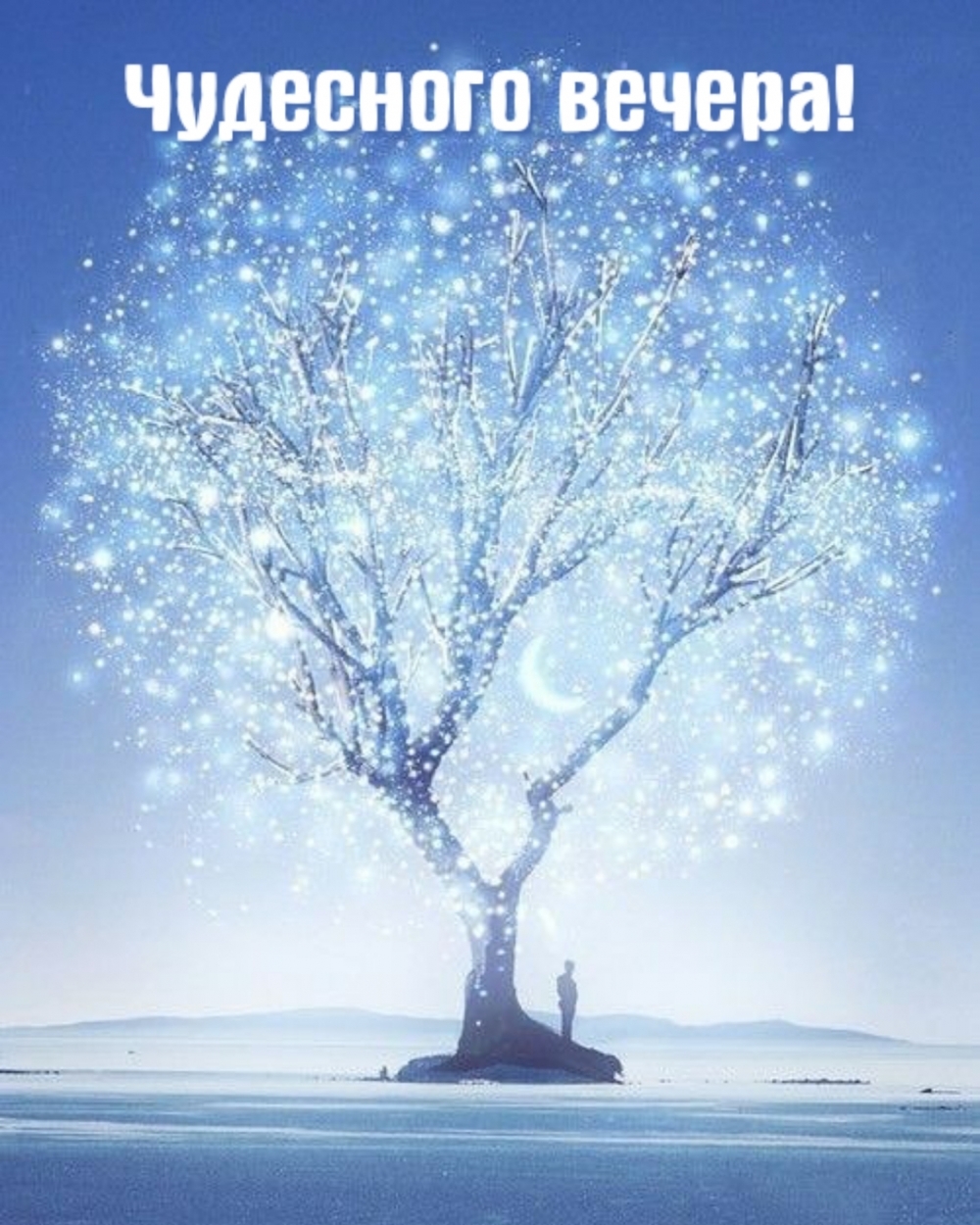 Чудесного вечера!