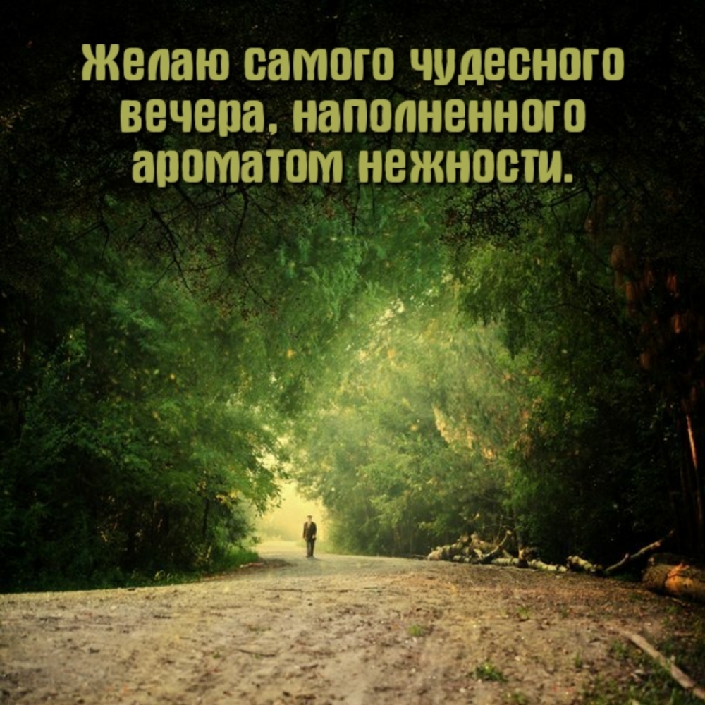 Желаю самого чудесного вечера, наполненного ароматом нежности