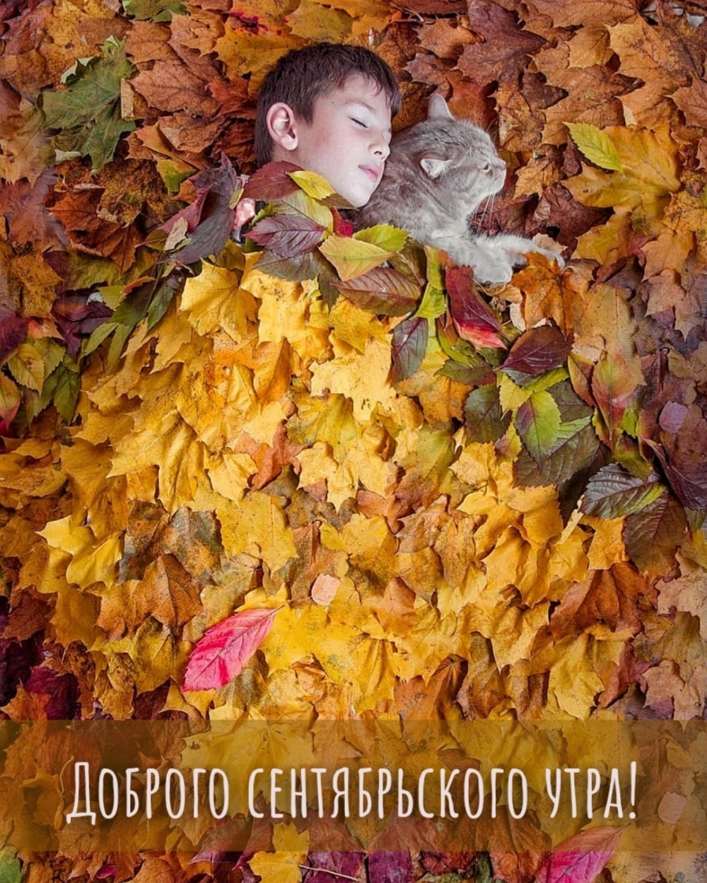 Доброго сентябрьского утра!