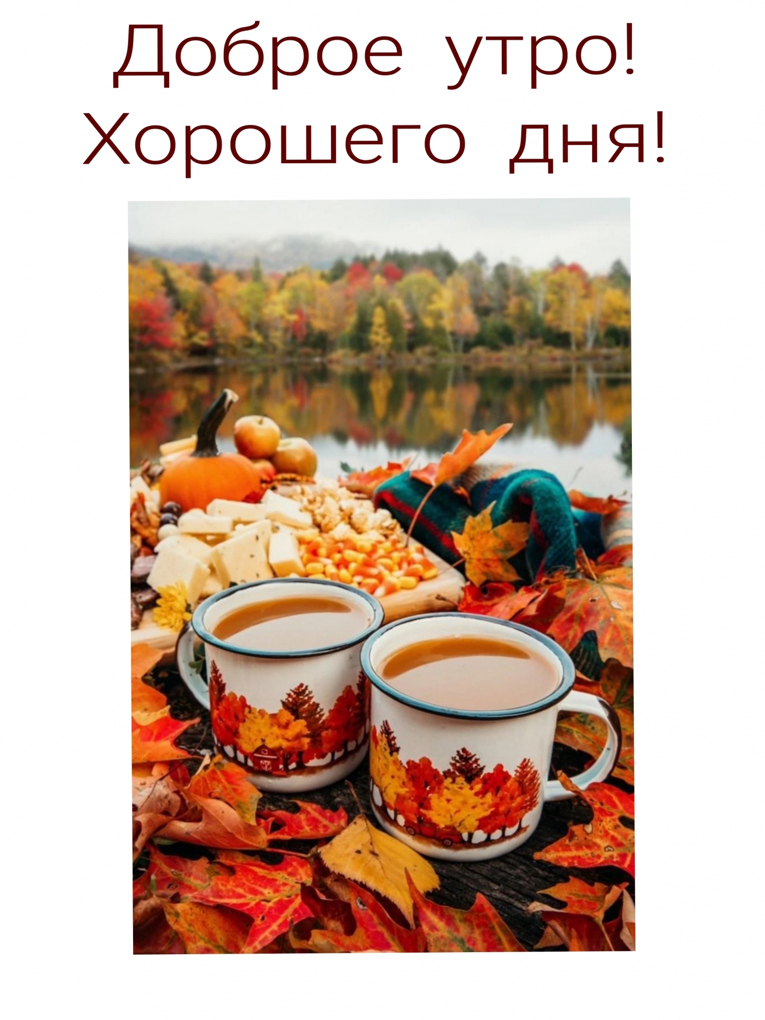 Доброе утро! Хорошего дня!