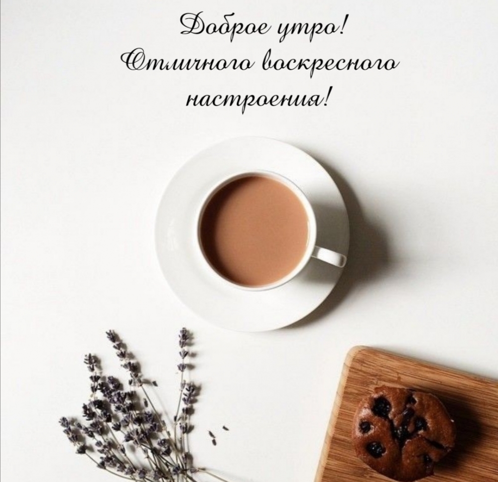 Доброе утро! Отличного воскресного настроения!