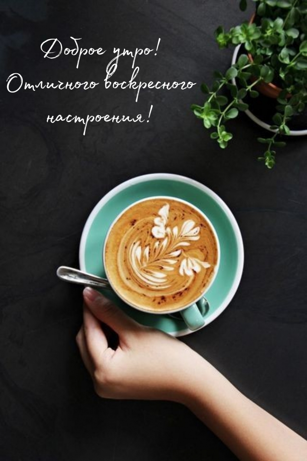Доброе утро! Отличного воскресного настроения!