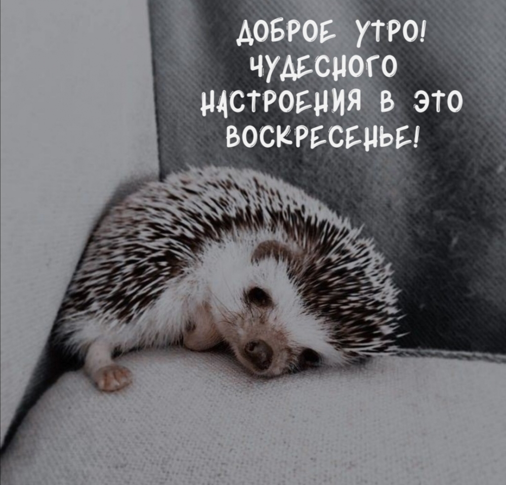 Доброе утро! Чудесного настроения в это воскресенье!