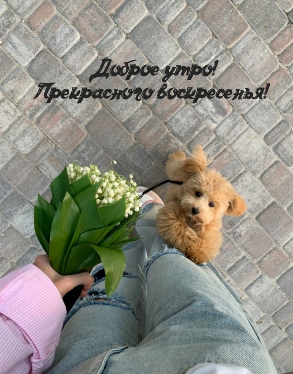 Доброе утро! Прекрасного воскресенья!