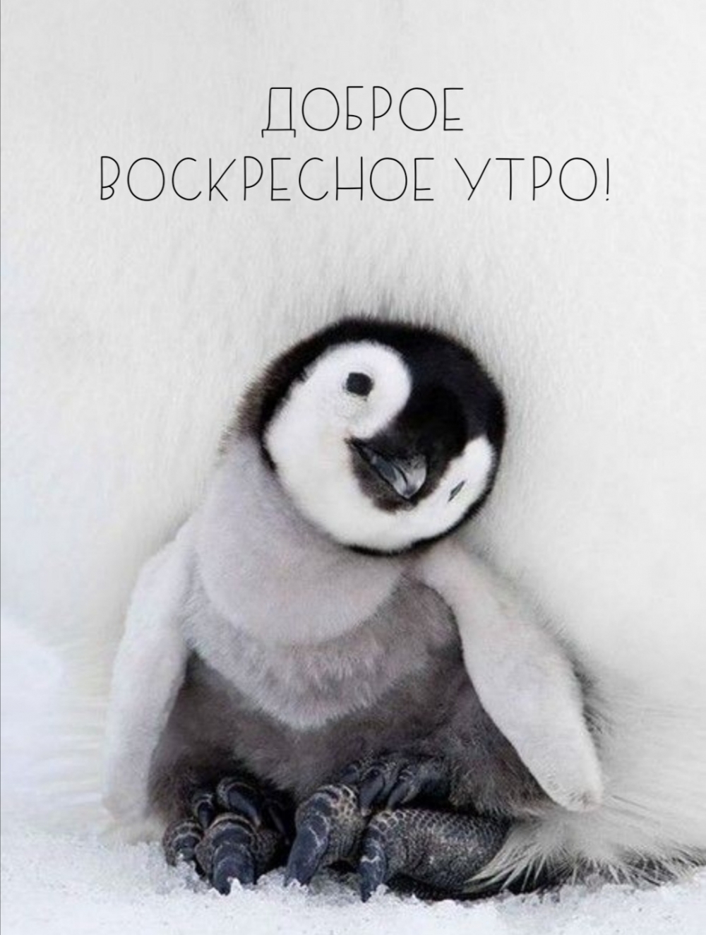 Доброе воскресное утро!