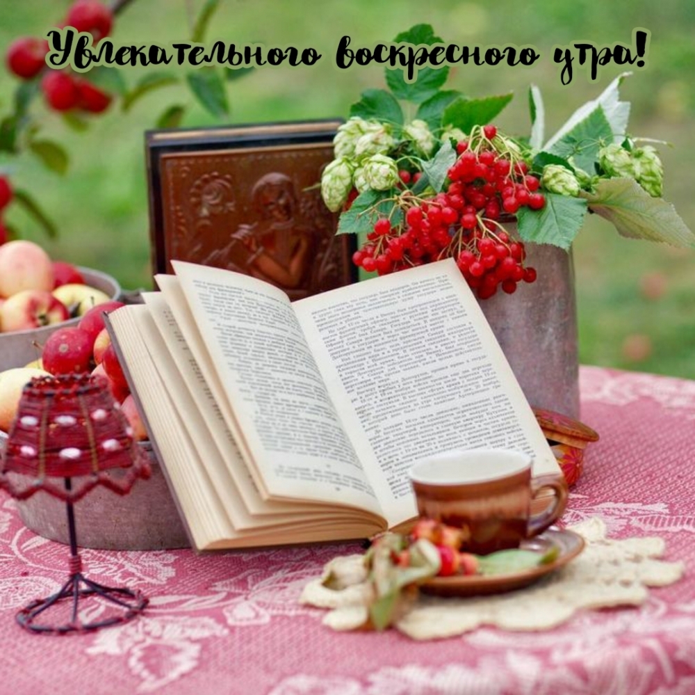 Увлекательного воскресного утра!