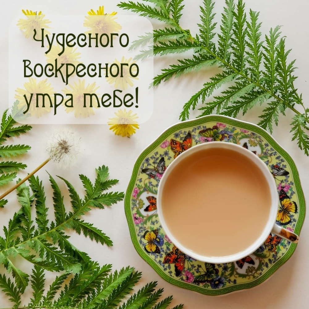 Чудесного воскресного утра тебе!