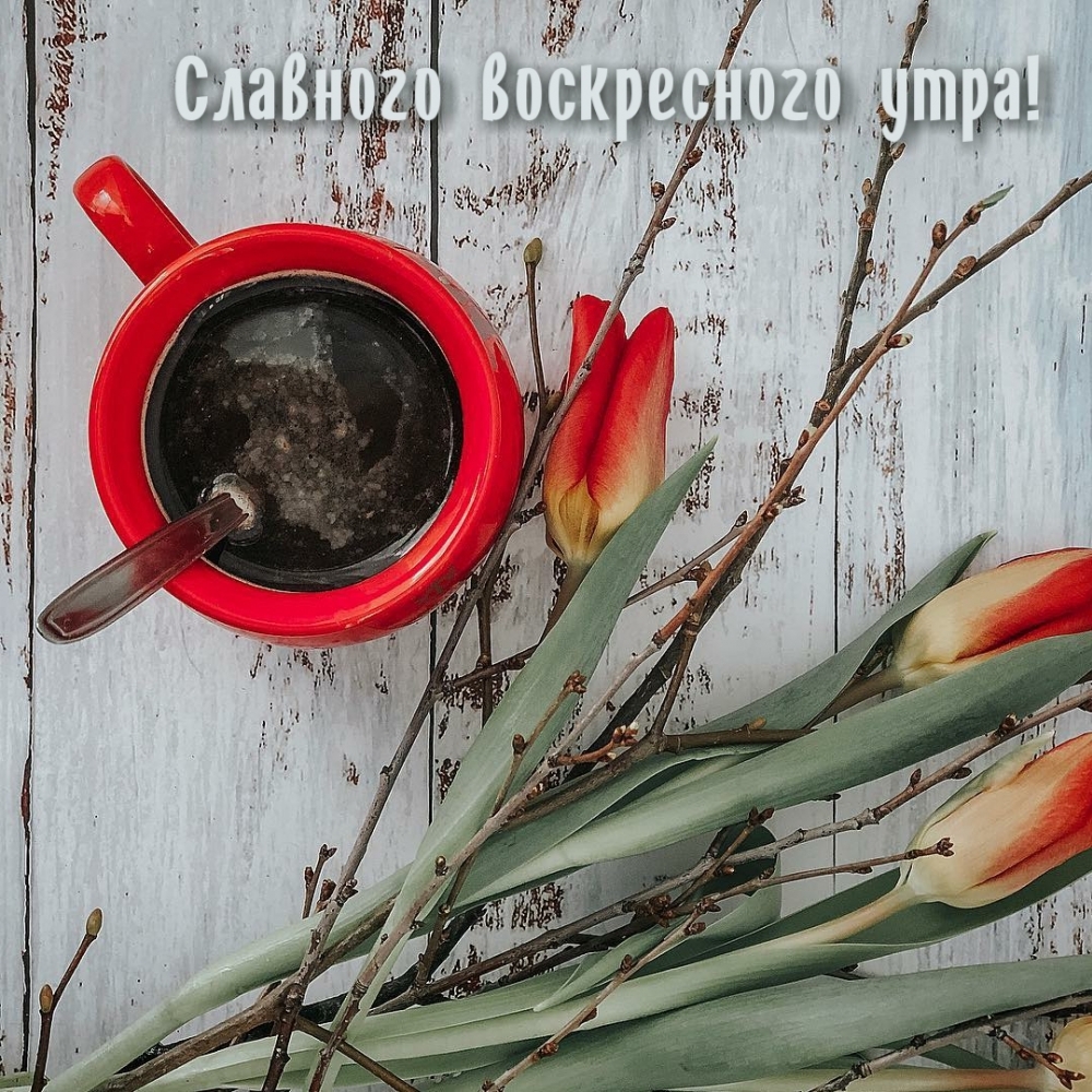 Славного воскресного утра!