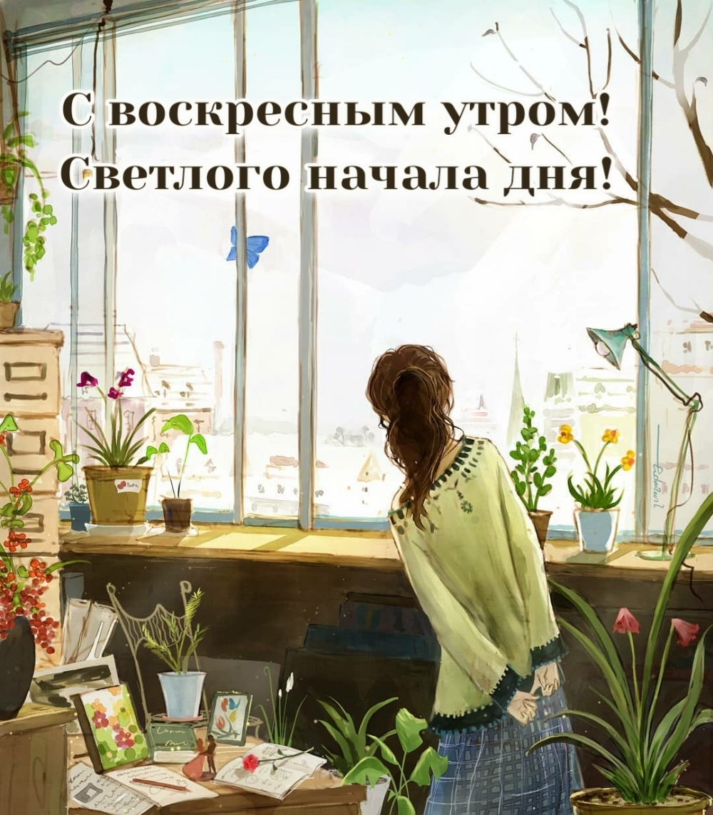 С воскресным утром! Светлого начала дня!