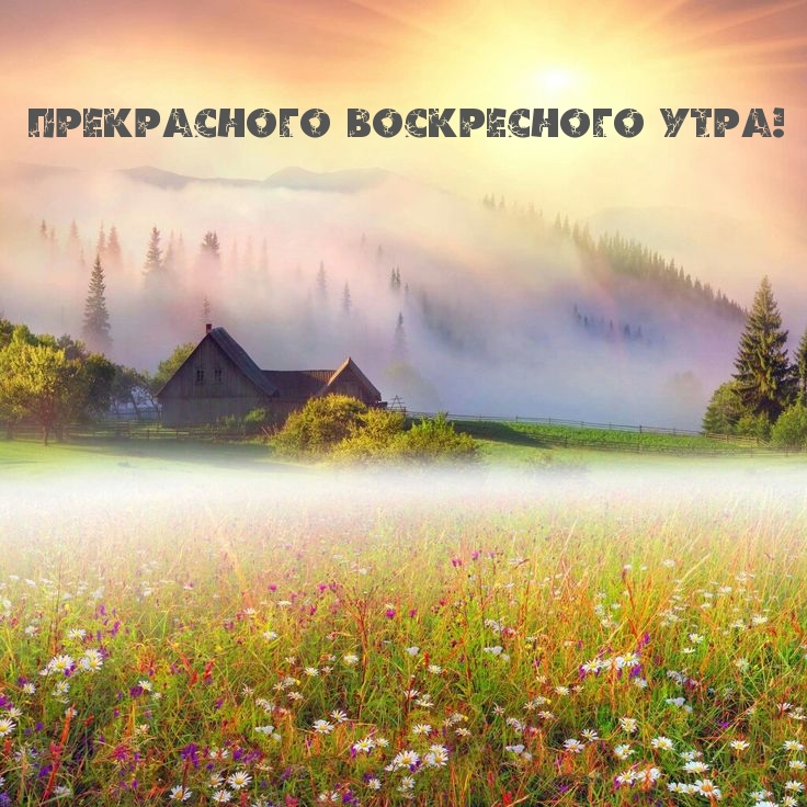 Прекрасного воскресного утра!