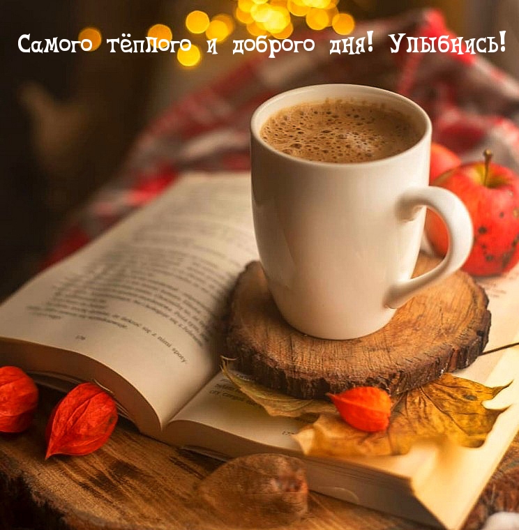 Самого тёплого и доброго дня! Улыбнись!