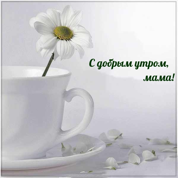 С добрым утром, мама!