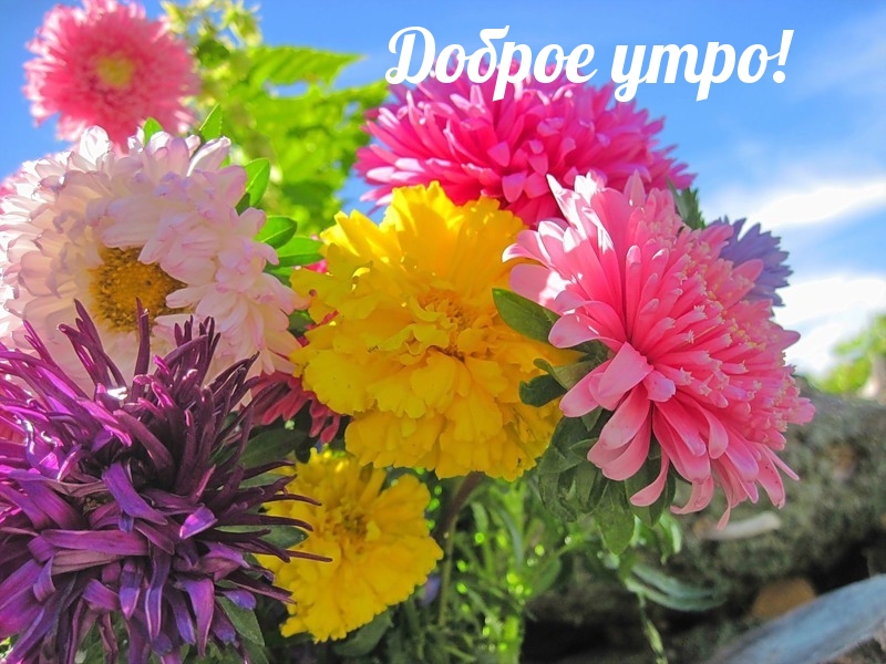 Доброе утро!