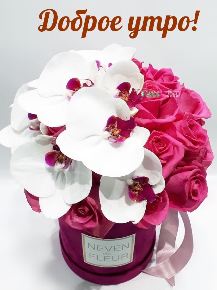 Доброе утро!