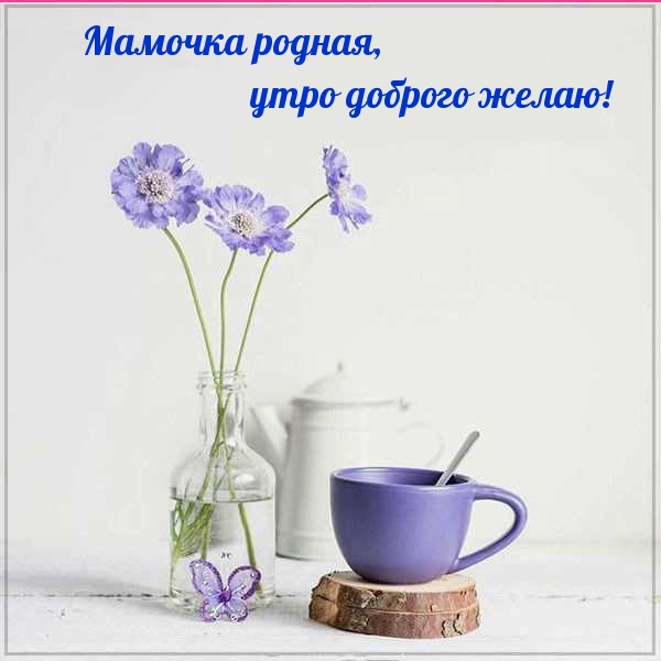 Мамочка родная, утро доброго желаю!
