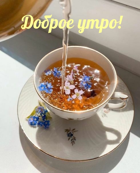 Доброе утро!