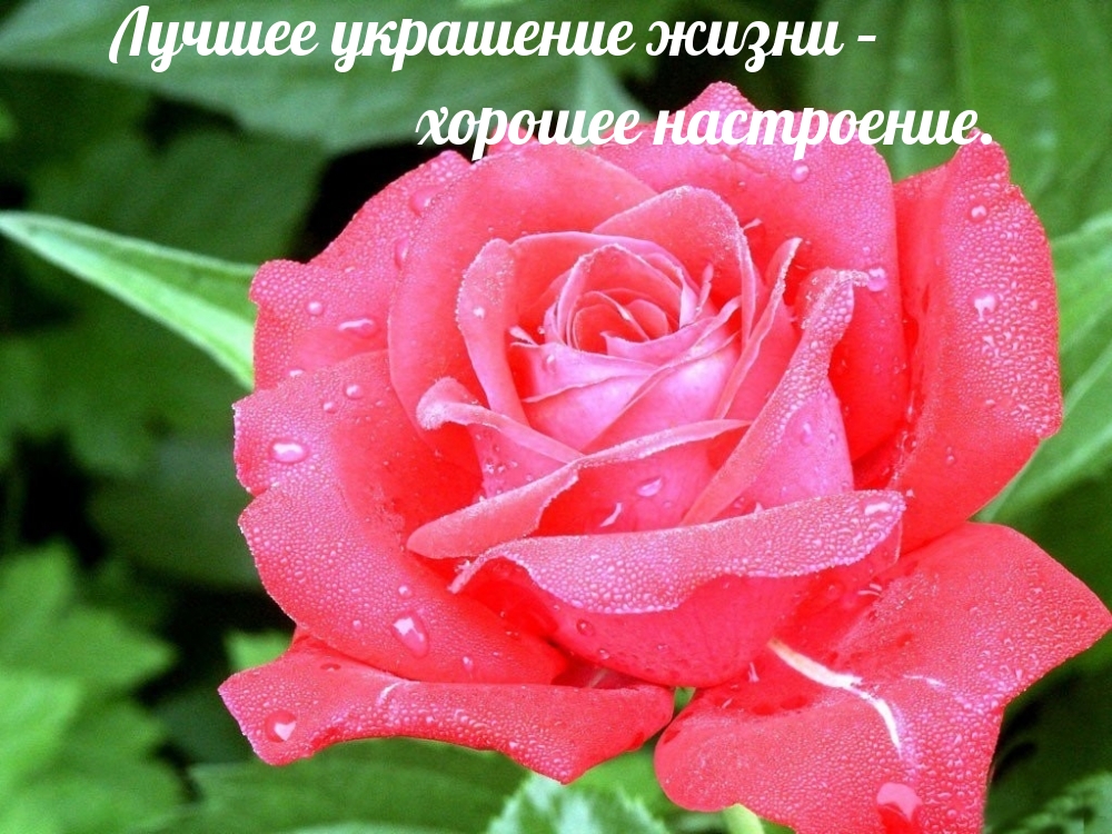 Лучшее украшение жизни – хорошее настроение.
