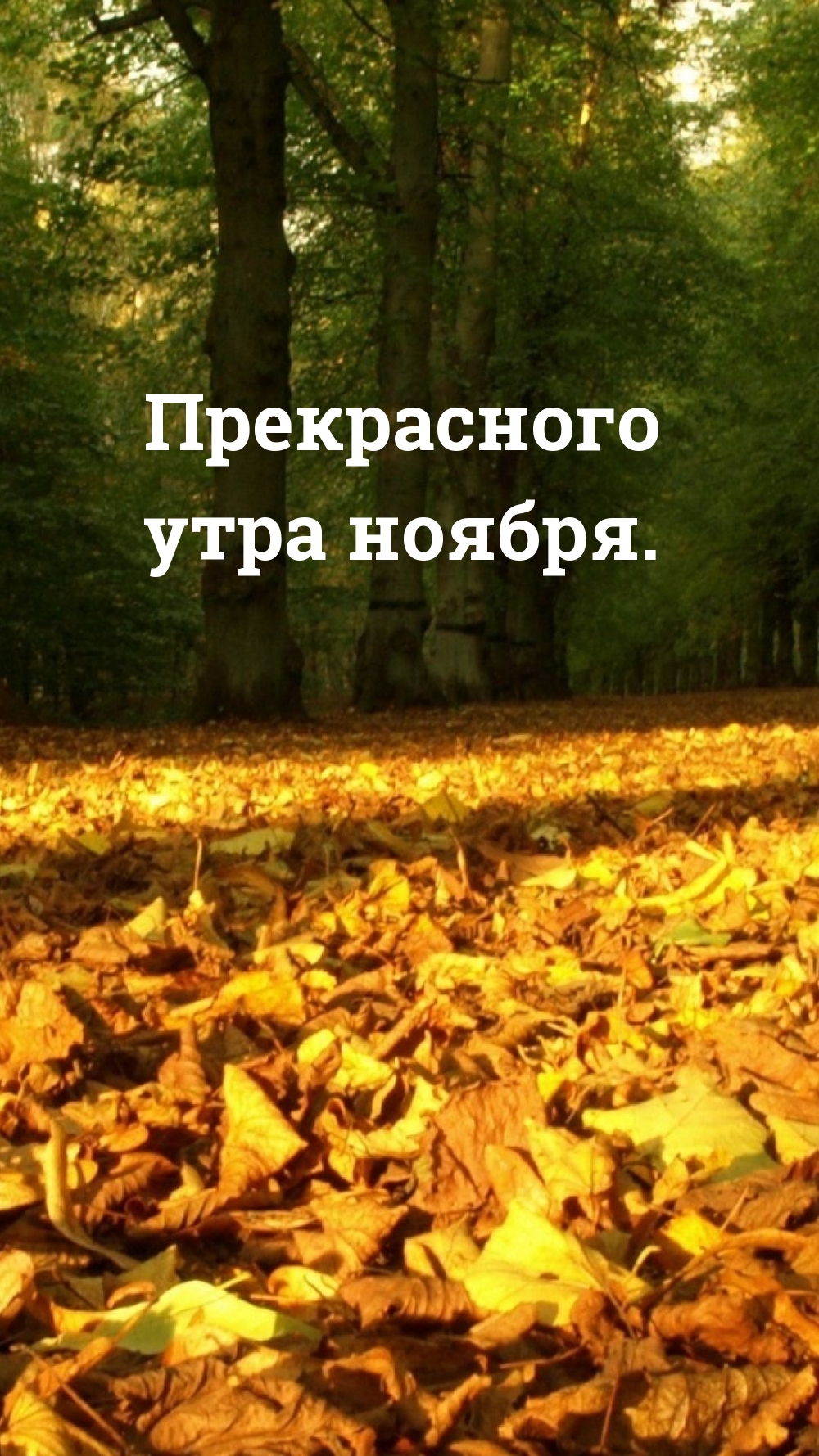 Прекрасного утра ноября.