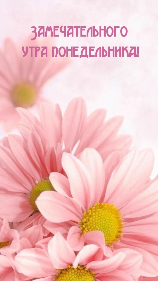 Замечательного утра понедельника!