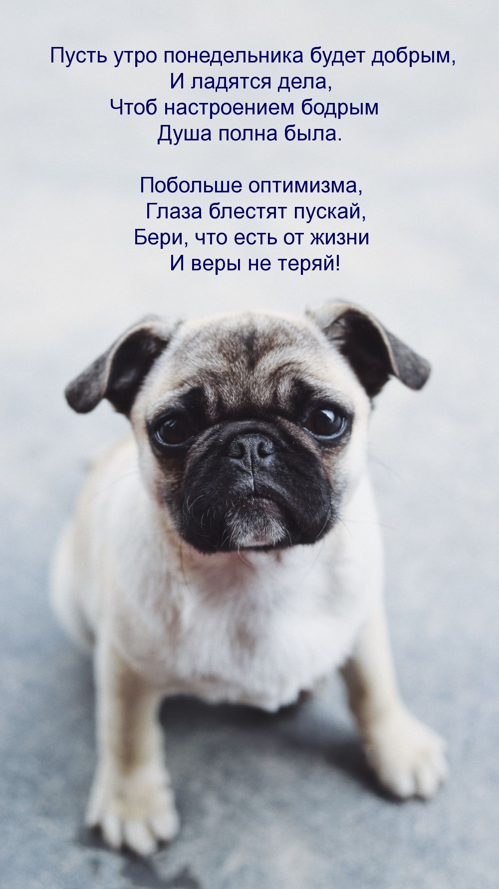 Пусть утро понедельника будет добрым