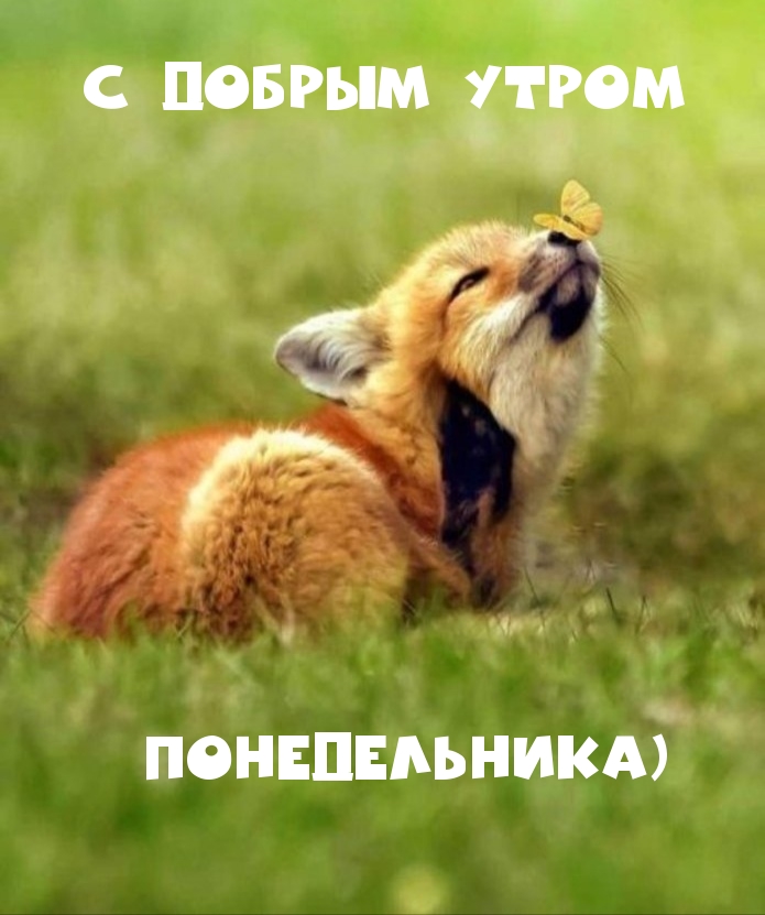 С добрым утром понедельника)