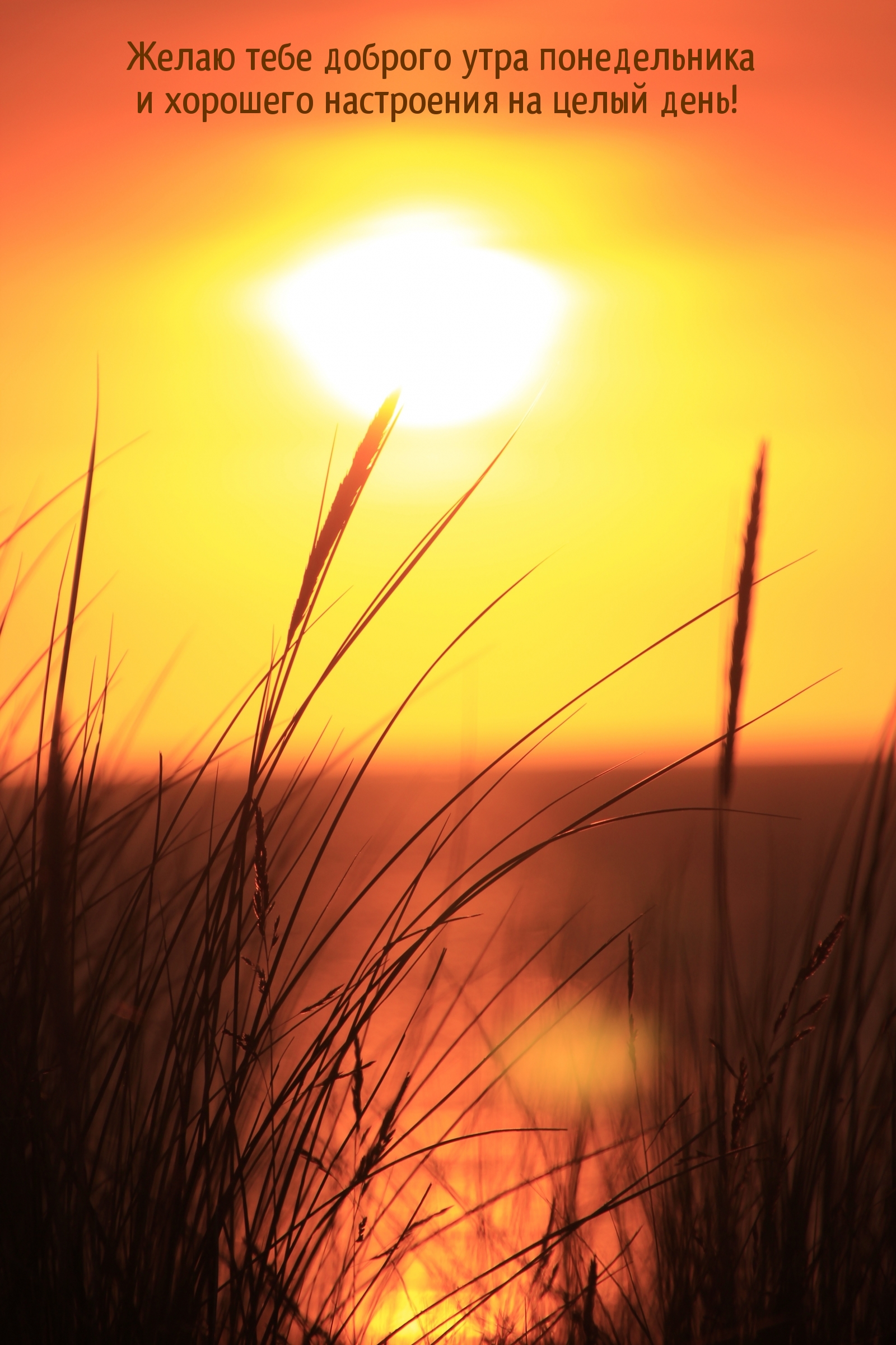 Желаю тебе доброго утра понедельника