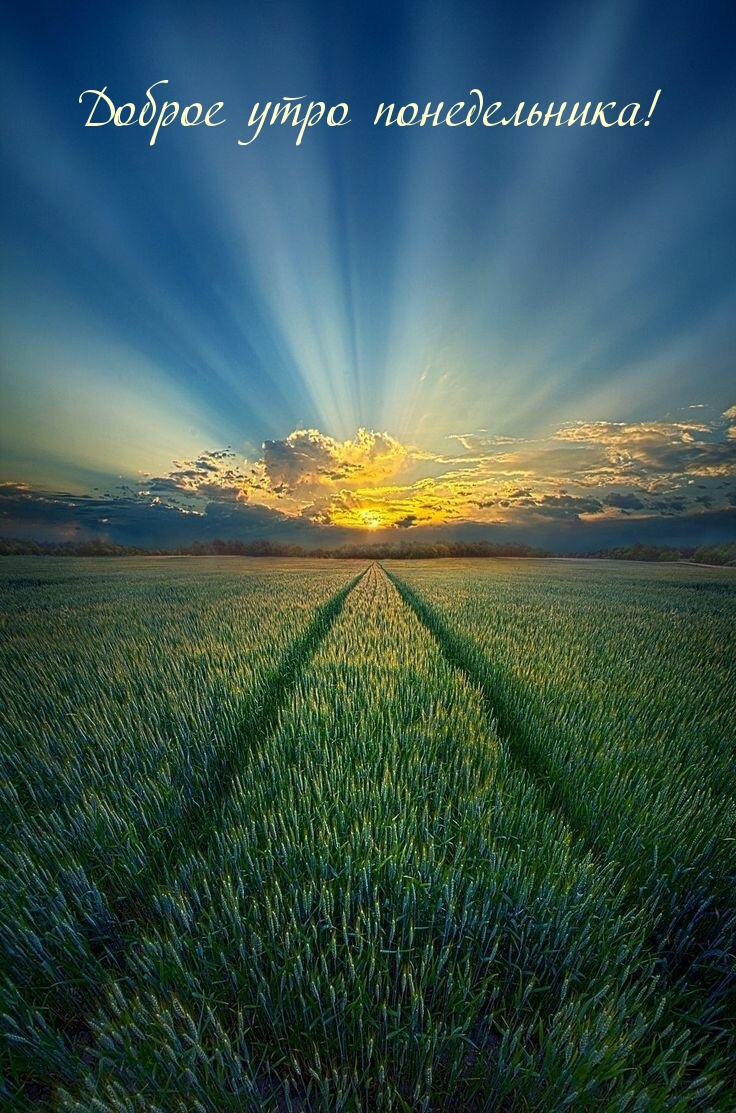 Доброе утро понедельника!