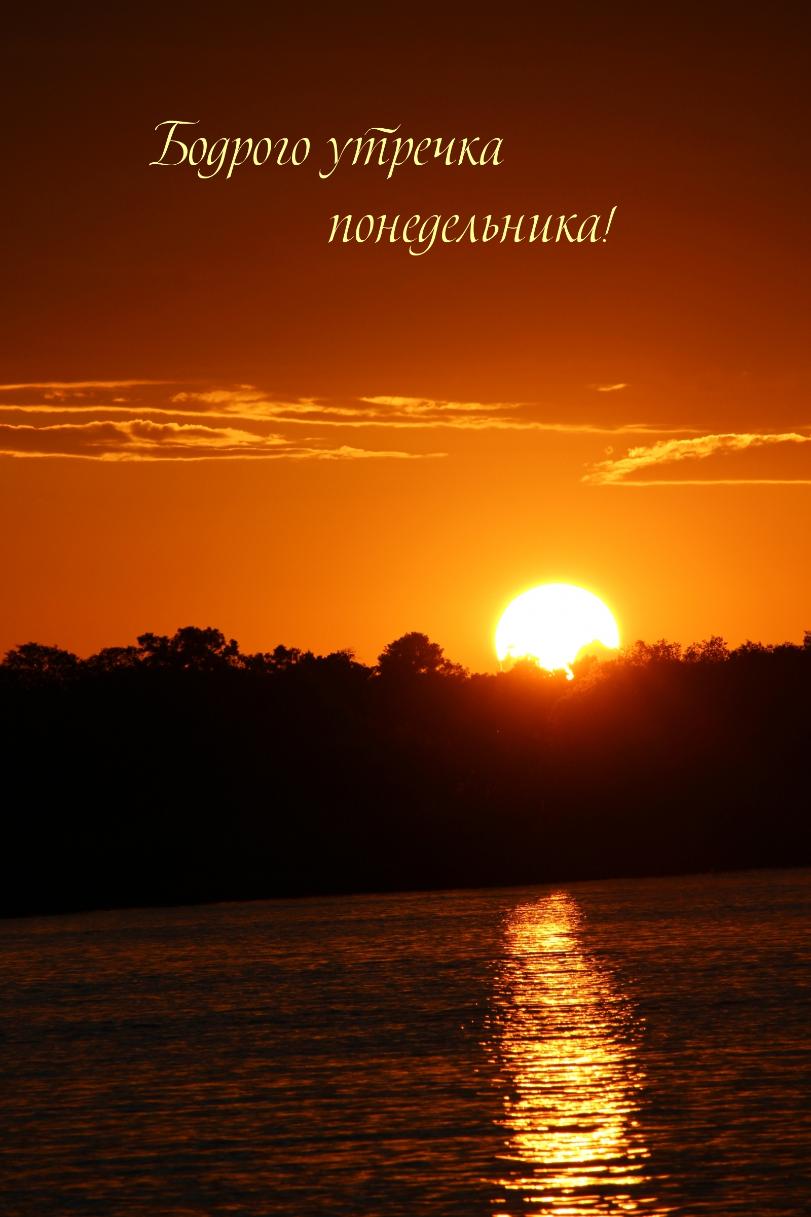 Бодрого утречка понедельника!