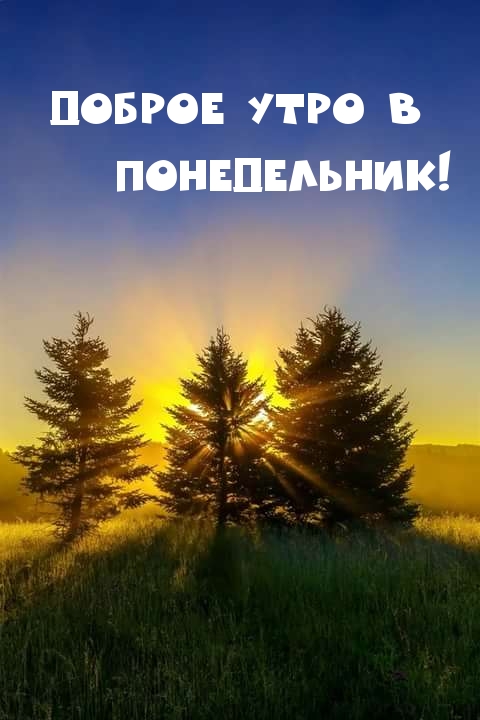 Доброе утро в понедельник!