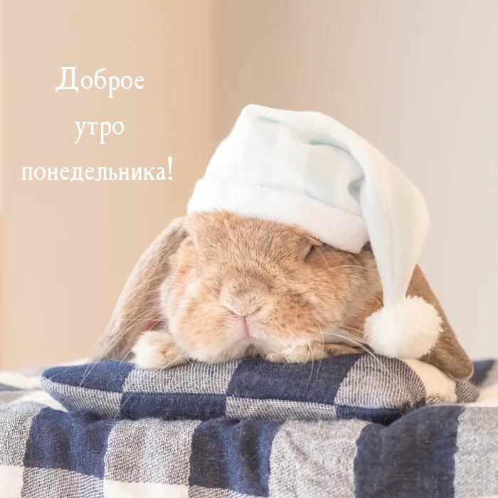 Доброе утро понедельника!