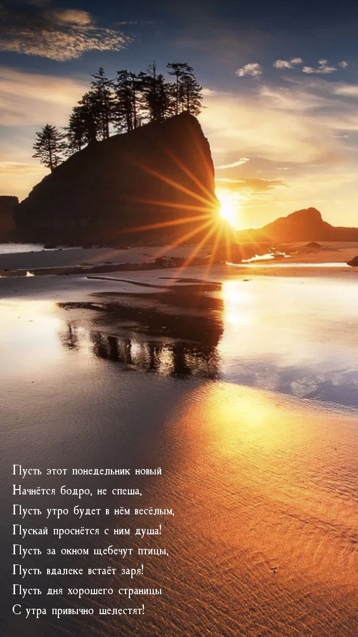 Пусть этот понедельник новый начнётся бодро