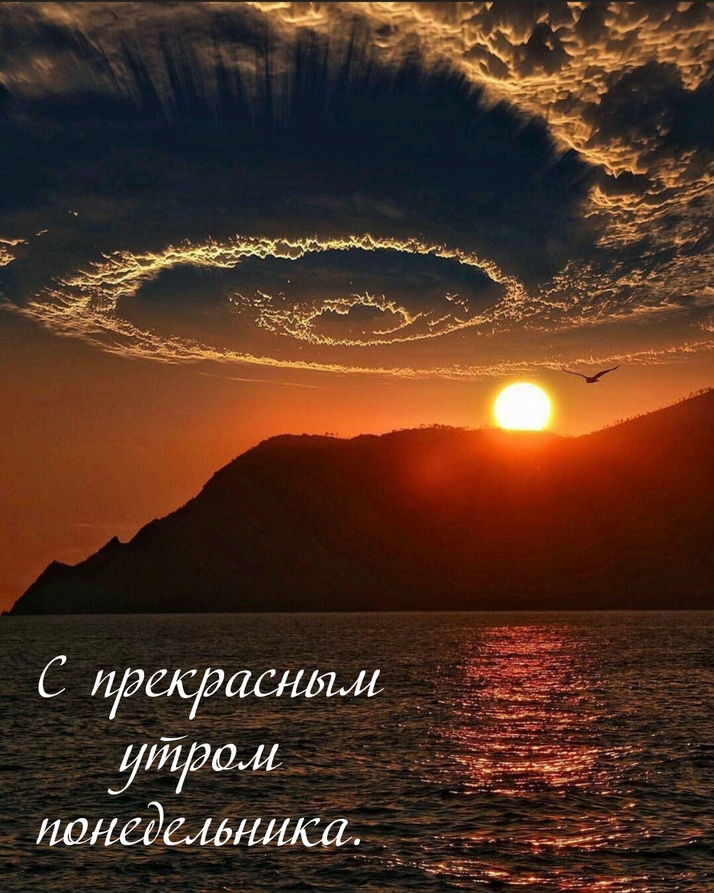 С прекрасным утром понедельника.