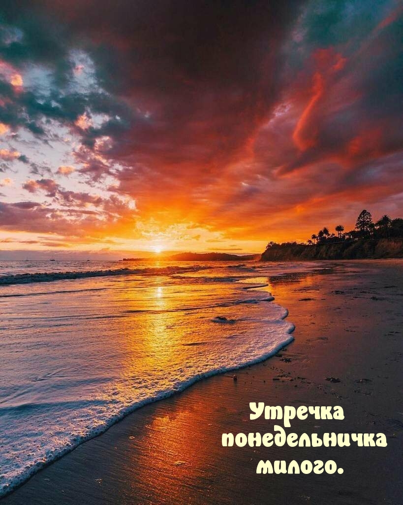 Утречка понедельничка милого.