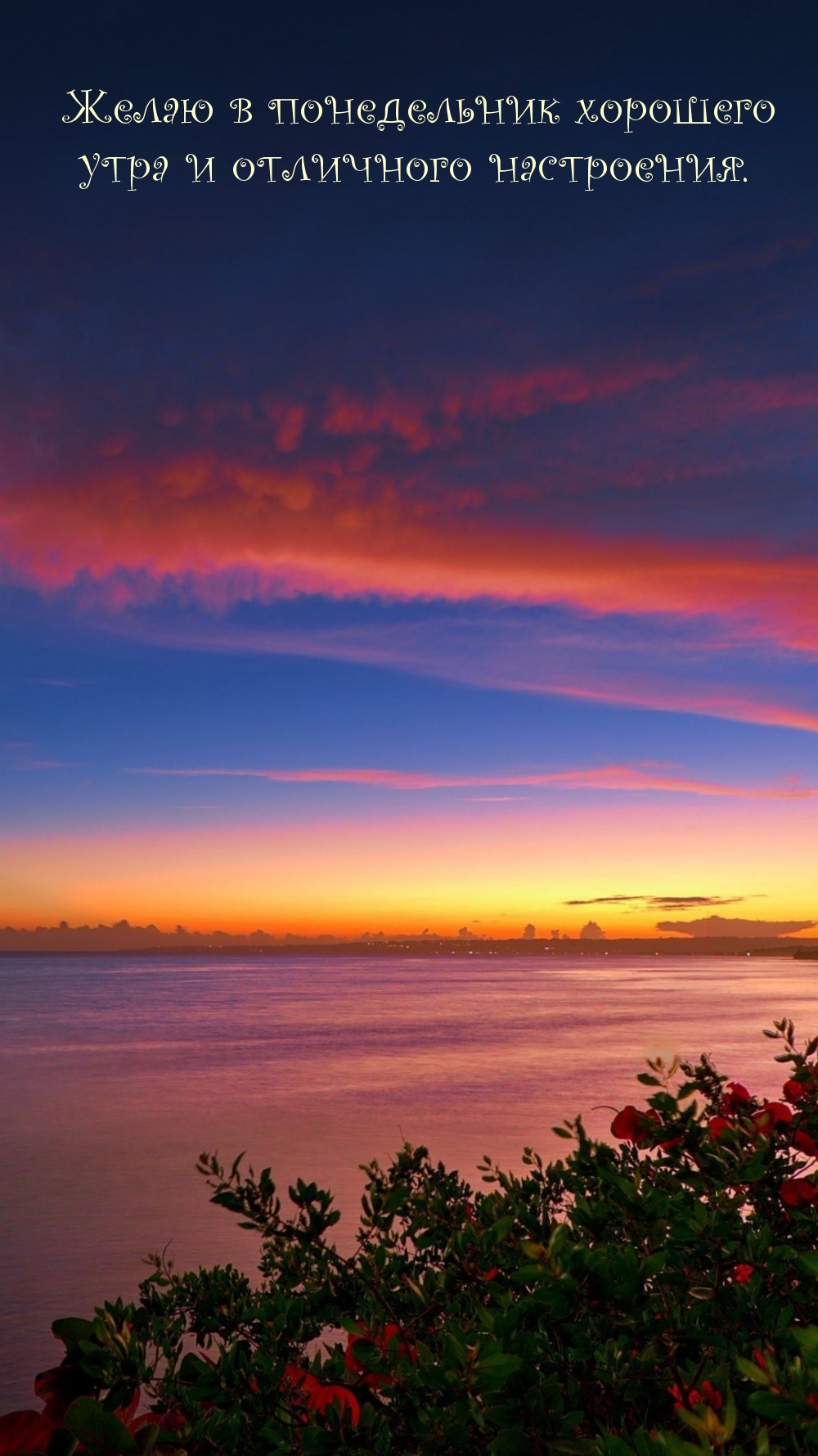 Желаю в понедельник хорошего утра и отличного настроения.