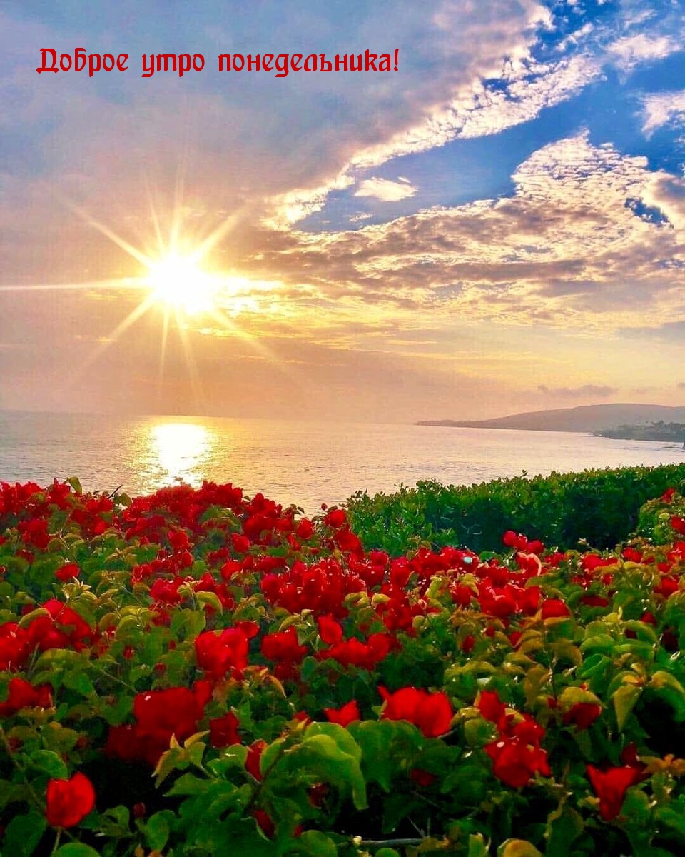 Доброе утро понедельника!