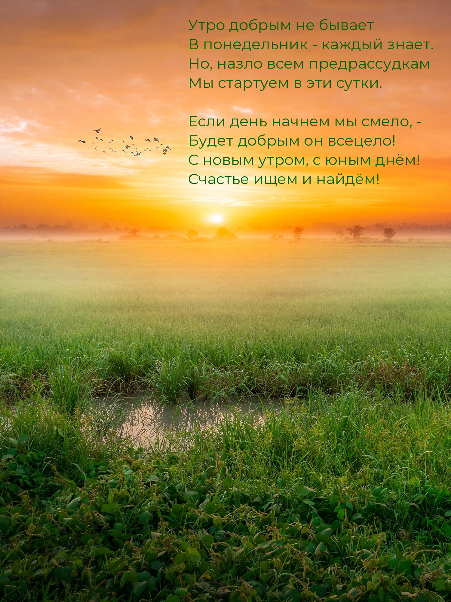 Утро добрым не бывает в понедельник — каждый знает.
