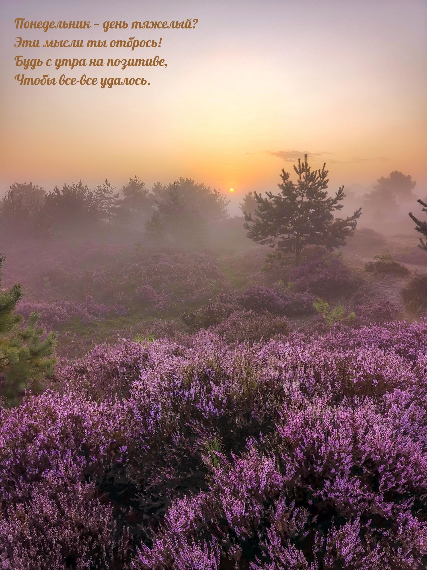 Понедельник — день тяжелый? Эти мысли ты отбрось!