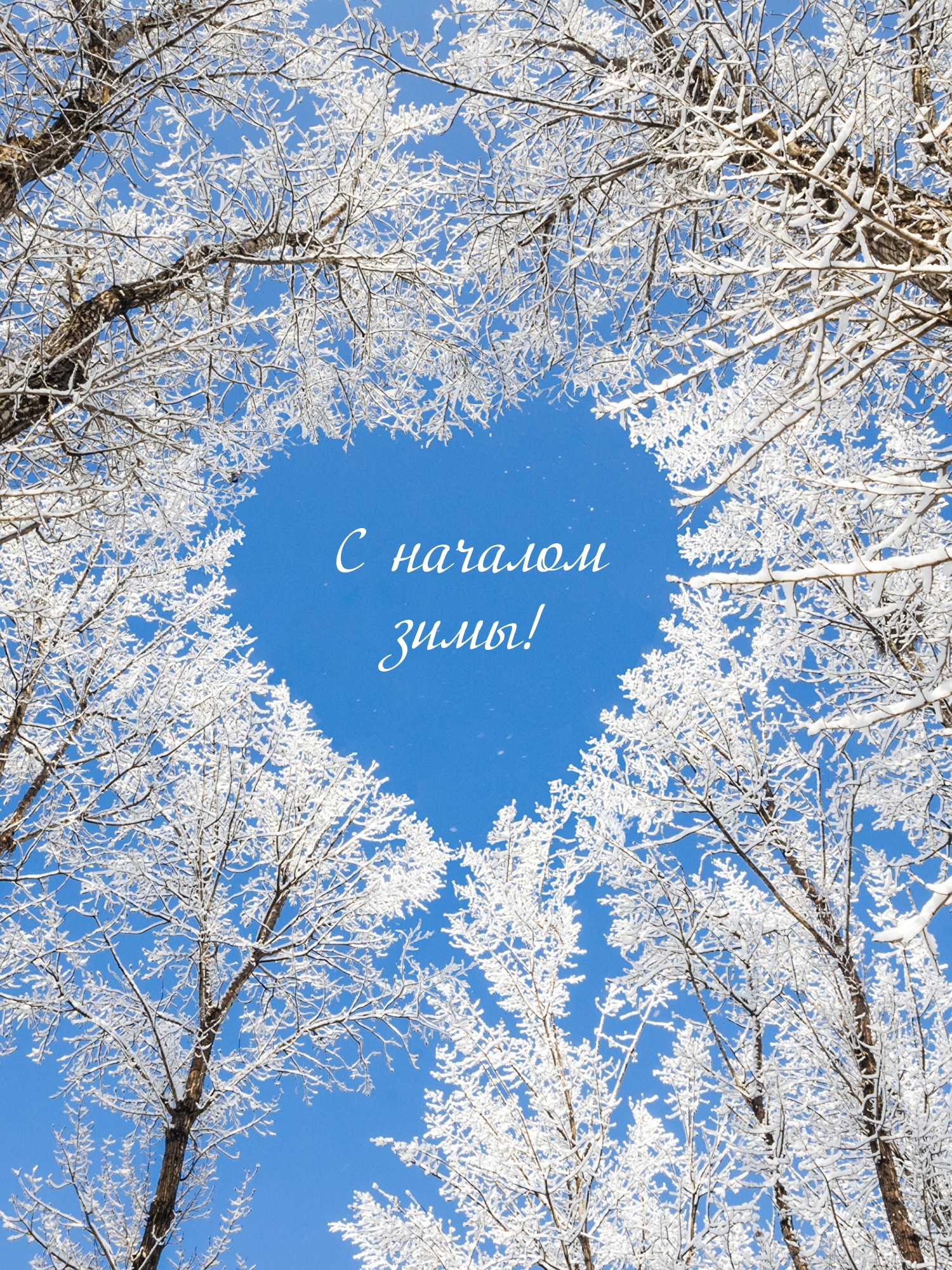 С началом зимы!