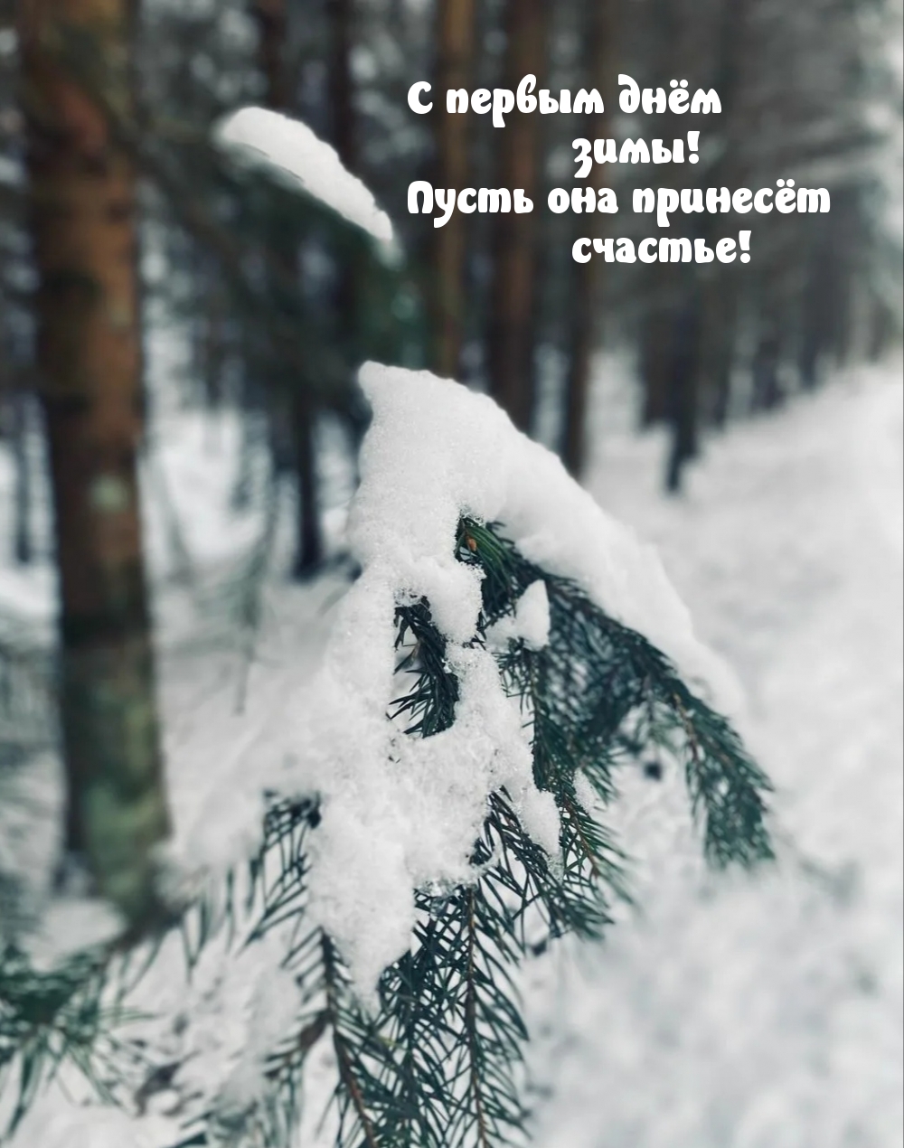С первым днём зимы! Пусть она принесёт счастье!