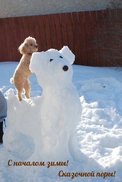 С началом зимы! Сказочной поры!