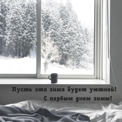 Пусть эта зима будет уютной! С первым днем зимы!