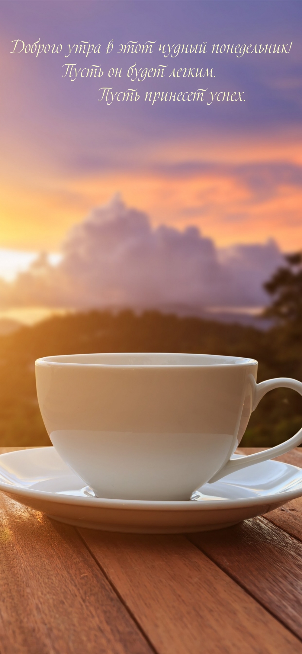 Доброго утра в этот чудный понедельник!