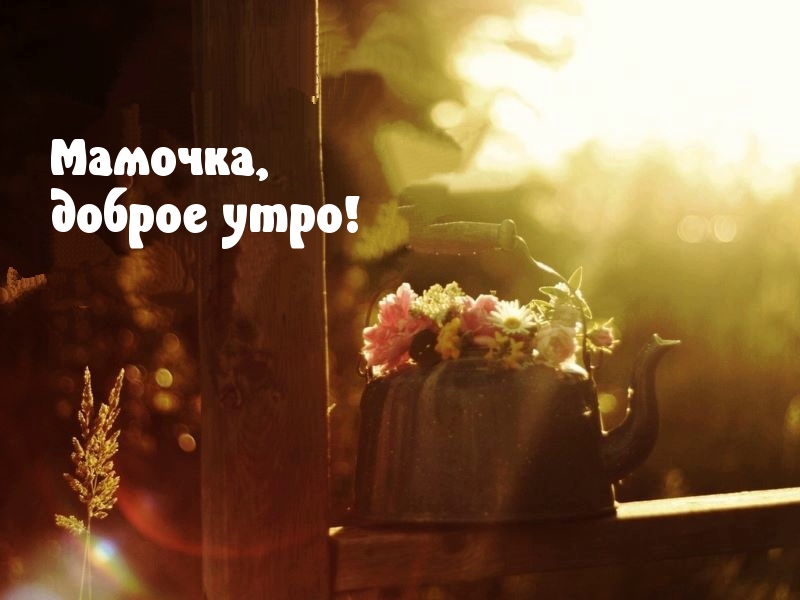 Мамочка, доброе утро!