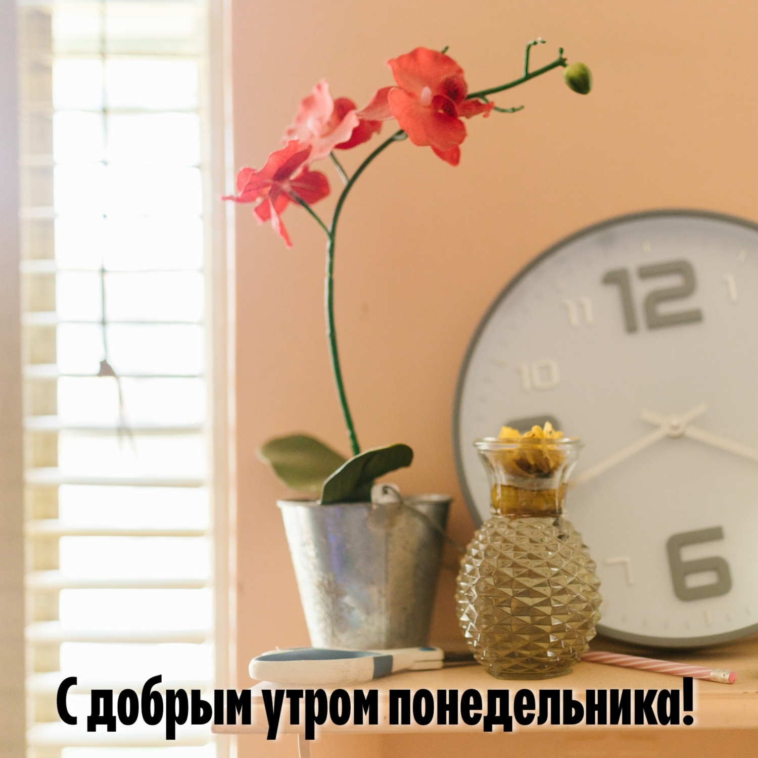 С добрым утром понедельника!