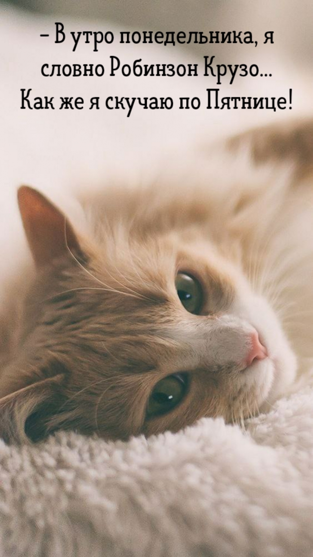 В утро понедельника, я словно Робинзон Крузо…