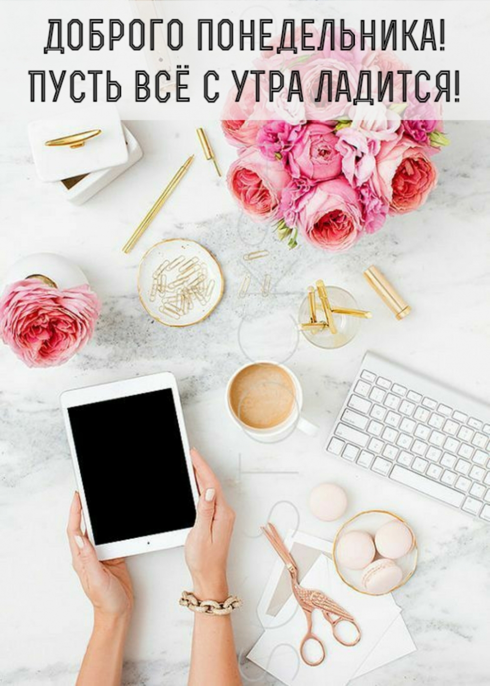 Доброго понедельника! Пусть всё с утра ладится!