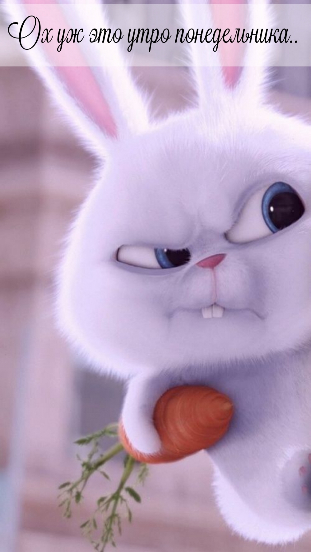 Ох уж это утро понедельника..
