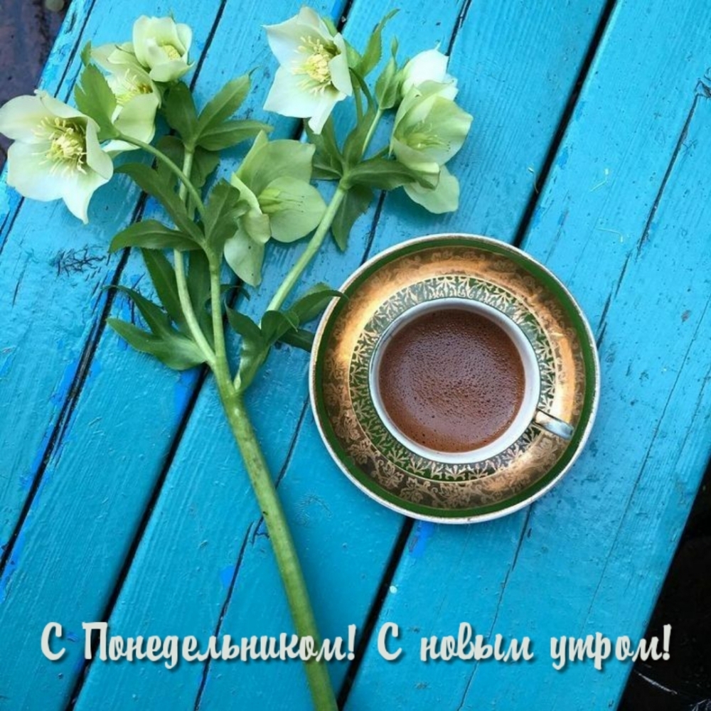 С Понедельником! С новым утром!